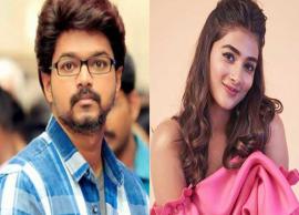 விஜய்யின் அடுத்த படத்தில் நடிக்க பூஜா ஹெக்டேவுக்கு அதிக வாய்ப்பு