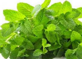 அஜீரண பிரச்சனையை சமாளிக்க உதவுகிறது புதினா