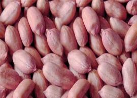 வேர்க்கடலையில் அடங்கியுள்ள நன்மைகள் பற்றி தெரிந்து கொள்வோம்