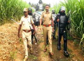 கரும்புத் தோட்டத்தில் பதுங்கியிருந்த சிறுத்தை வனப்பகுதிக்குள் விரட்டியடிப்பு