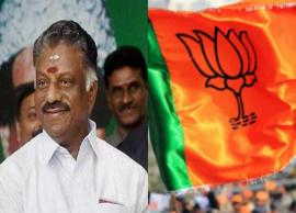 கவர்னர் ஆபர் ஓ.பி.எஸ்.க்கு கிடைக்க வாய்ப்பா? அரசியல் களம் பரபரப்பு