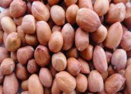 தயாமின், நயாசின் சத்துக்கள் அடங்கிய நிலக்கடலையின் பயன்கள்