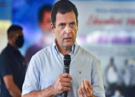 தகுதி இழப்பு ரத்து செய்தது மக்களவை செயலகம்... மீண்டும் எம்.பி.,யாகிறார் ராகுல்காந்தி