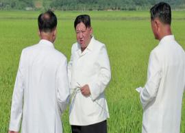 சூறாவளியால் பாதித்த விளைநிலங்களை பார்வையிட்ட வடகொரியா அதிபர்