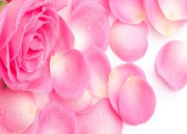 அழகான சருமத்திற்கு ரோஜா இதழ்கள் புது பொலிவை அளிக்கும்!!!