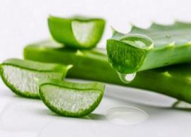 உடல் ஆரோக்கியத்தில் முக்கிய பங்கு வகிக்கும் கற்றாழையின் மகத்துவம்