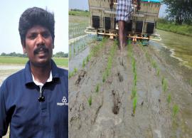 ஆட்கள் பற்றாக்குறையால் இயந்திரம் வாயிலாக ஒற்றை நாற்று நடவு