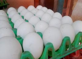 உயர்ந்தது முட்டை விலை