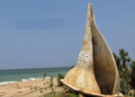 தூய்மையான சங்குத்துறை கடற்கரைக்கு செல்வோம்... வாங்க!!!