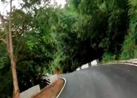 கொடைக்கானலுக்கு அடுக்கம் பாதை வழியாக சாலை ரெடி