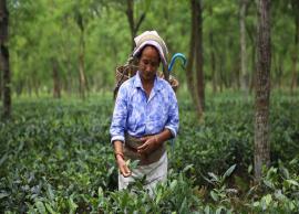 வங்கதேசத்தில் ஊதிய உயர்வு கோரி தொழிலாளர்கள் வேலை நிறுத்தம்