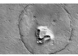 செவ்வாய் கிரகத்தில் கரடி... நாசா வெளியிட்ட புகைப்படம் செம வைரல்