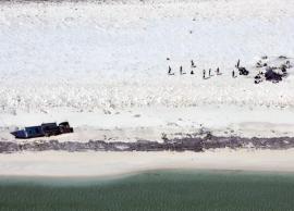 ஆஸ்திரேலியாவின் தீவில் சிக்கி தவித்த இந்தோனேசியா மீனவர்கள் மீட்பு