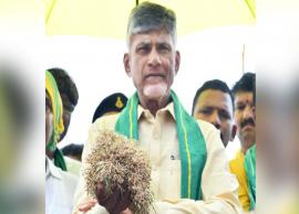 விவசாயிகள் தற்கொலைக்கு அரசின் திறமையின்மையே காரணம்