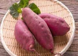 பெண்களின் ஆரோக்கியத்திற்கு மிகவும் உறுதுணையாக உள்ள சர்க்கரை வள்ளிக்கிழங்கு