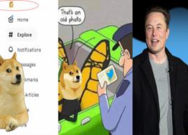 ட்விட்டர் பறவை பறந்தது... ஐகானாக நாய் வந்தது; எலான் மஸ்க் அதிரடி