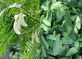 உடலுக்கு ஆரோக்கியத்தை அளிக்கும் அகத்தி கீரையில் உள்ள மருத்துவ குணம்