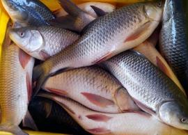 கமகமக்கும் வாசனையில் மீன் பிரியாணி தயாரிக்கும் முறை!