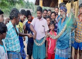 மீனுக்கு விரித்த வலையில் மலைபாம்பு சிக்கியதை கண்டு அதிர்ச்சியடைந்த மக்கள்