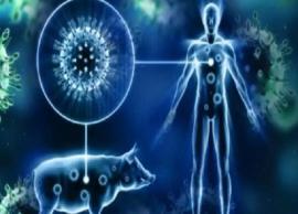 பன்றி காய்ச்சல் குறித்து பதற்றம் வேண்டவே வேண்டாம்; அமைச்சர் சொல்கிறார்