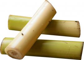 வாழைத்தண்டு சாப்பிட்டு வந்தால் ரத்த சர்க்கரை அளவு கட்டுப்படுமா?