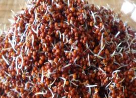 இதய ஆரோக்கியத்தை மேம்படுத்தும் முளைக்கட்டிய ராகி