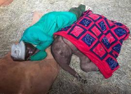 தாயை பிரிந்த யானைக்குட்டியை குழந்தையை போல் பாதுகாக்கும் வனவிலங்கு காப்பாளர்