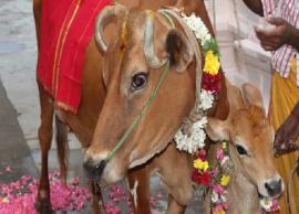 முக்கியத்துவம் நிறைந்த நன்மை பயக்கும் தானங்கள்