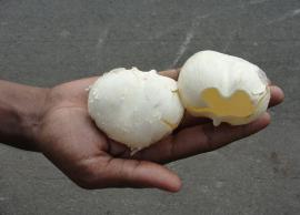 கால்சியம், பாஸ்பரஸ் சத்துக்கள் நிறைந்த நுங்கின் பயன்கள்