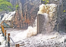 மணிமுத்தாறு அருவியில் பெருக்கெடுத்து ஓடும் தண்ணீர்... குளிக்க தடை விதிப்பு