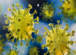 இந்தியாவில் கொரோனாவால் பாதித்தவர்கள் எண்ணிக்கை 3.50 லட்சத்தை தாண்டியது