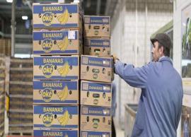 சுவிட்சர்லாந்தில் கூட்டுறவு கிளைகளில் 140 கிலோ கோகோயின் மீட்கப்பட்டதன் பின்னணி