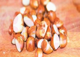 சுவையான பலாக்கொட்டை வறுவல் செய்வது எப்படி தெரிந்து கொள்வோம்