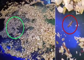 ஐஸ்கிரீமில் நெளிந்த புழுக்கள்... உணவு பாதுகாப்பு அதிகாரிகள் நடவடிக்கை