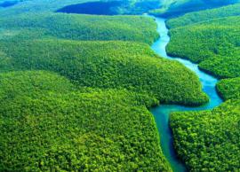 அமேசான் மழைக்காடு 150 சதவீதம் அழிக்கப்பட்டுள்ளதாக அறிக்கை