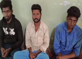 பாம்பை  துன்புறுத்தி தலையை கடித்து துப்பிய வீடியோ வெளியிட்ட 3 பேர் கைது