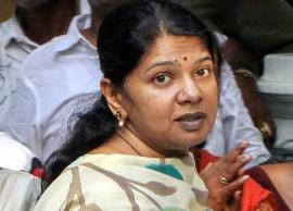 முதன்முதலில் திருநங்கைகளுக்காக தனி நல வாரியம் அமைத்தவர் கருணாநிதி: எம்.பி., கனிமொழி பெருமிதம்