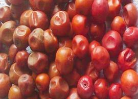 உடலுக்கு நன்மை தரும் மருத்துவக்குணங்கள் நிறைந்த இலந்தைப்பழம்