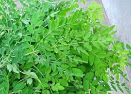 உடலுக்கு ஊட்டம் தரும் முருங்கை காம்பு சூப் செய்முறை