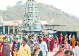 ஞாயிறு அன்று திருத்தணியில் குவிந்த பக்தர்கள்