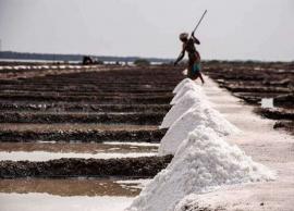 தொடர் மழை காரணமாக அதிராம்பட்டினத்தில் உப்பு மூட்டைகளை பாதுகாக்கும் பணி மும்முரம்