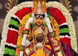 பனித்திட்டு மீனவ கிராமத்தில் ஊத்துக்காட்டு மாரியம்மன் கொடியேற்று விழா