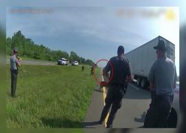 சரணடைந்த கருப்பின இளைஞர் மீது நாயை ஏவி கடிக்க செய்த அமெரிக்க போலீஸ்