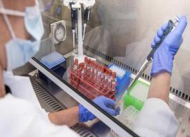 தடுப்பூசி தயாரிப்பை அதிகரிக்க முடிவு செய்துள்ளதாக ரஷ்யா அறிவிப்பு