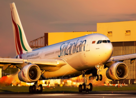 மாலைத்தீவில் இருந்து 176 இலங்கையர்கள் இன்று நாடு திரும்பினர்