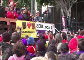 கல்வித்துறை ஊழியர்கள் வேலை நிறுத்தம்... அனைத்து வகுப்புகளும் ரத்து