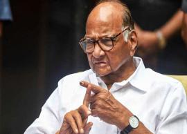 கட்சி தலைவர் பதவியிலிருந்து விலகுவதாக சரத்பவார் அறிவிப்பு
