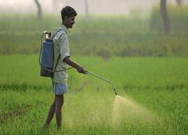 மத்திய அமைச்சரவை ஒப்புதல்... விவசாயிகளுக்கு ரூ.1.8 லட்சம் கோடி உரமானியம்