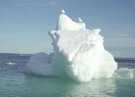 ஆர்க்டிக் கடல் பகுதியில் பிரமாண்ட பனிப்பாறை உடைந்ததாக விஞ்ஞானிகள் தகவல்