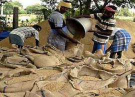 19 சதவீதம் வரை ஈரப்பத நெல்லை கொள்முதல் செய்யலாம்... மத்திய அரசு ஒப்புதல்?